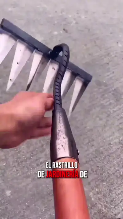 Demostración del producto