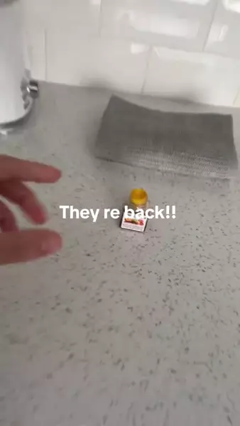 Demostración del producto